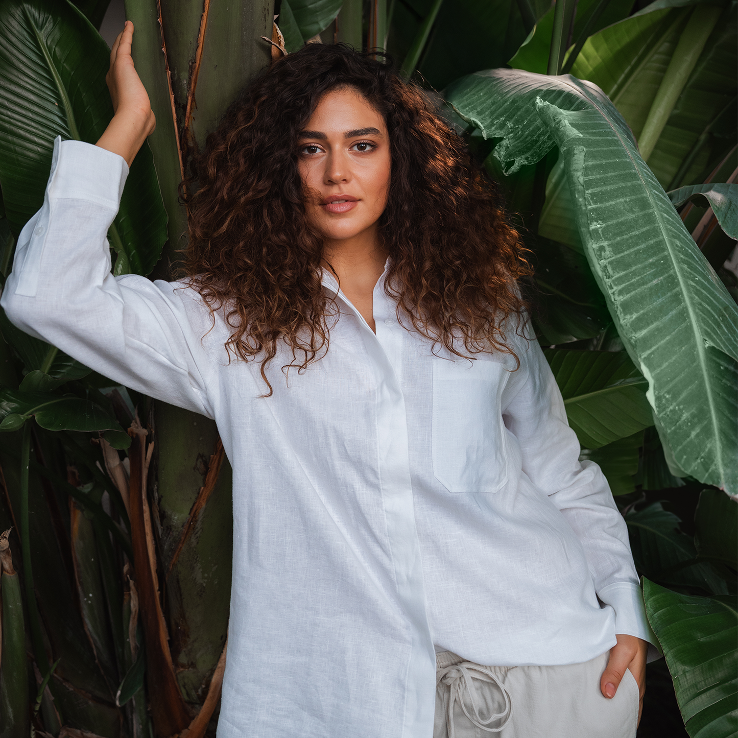 Beneganic - Curcumin Indian Gold | Curcumaextrakt (Longvida®) | 60 Kapseln