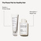 Olaplex No.0.5 Scalp Longevity Treatment | Kopfhaut-Serum, 50 ml