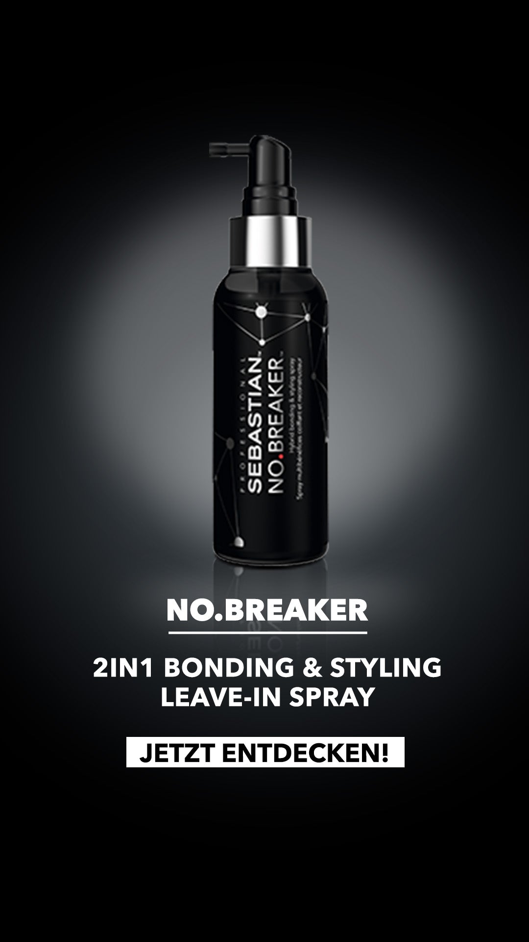 Sebastian No.Breaker 100 ml